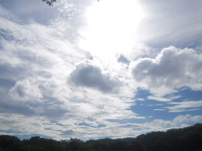 f0214121_10165233.jpg