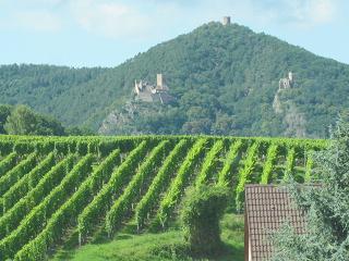 c0051529_10421134.jpg