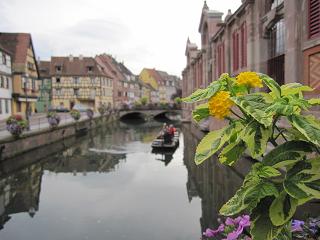 c0051529_9395918.jpg