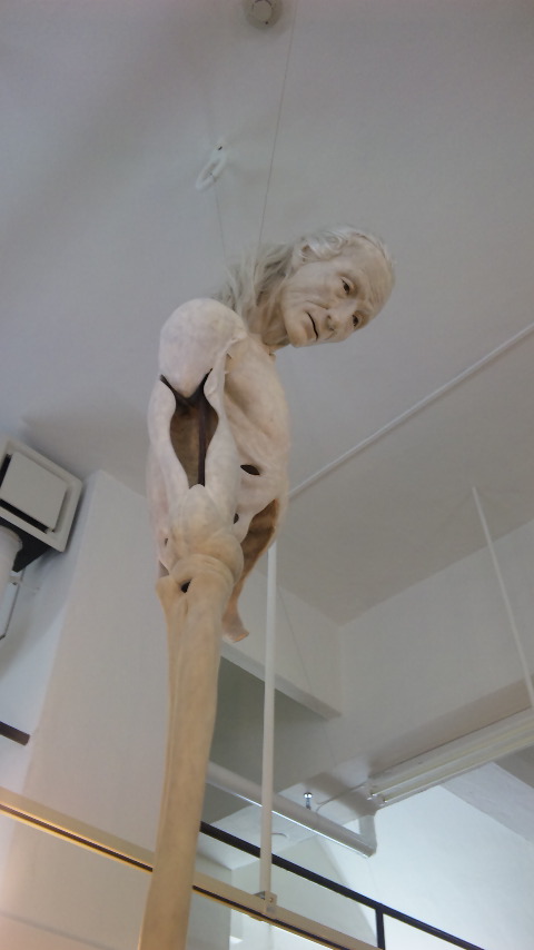 b0019333_123250.jpg