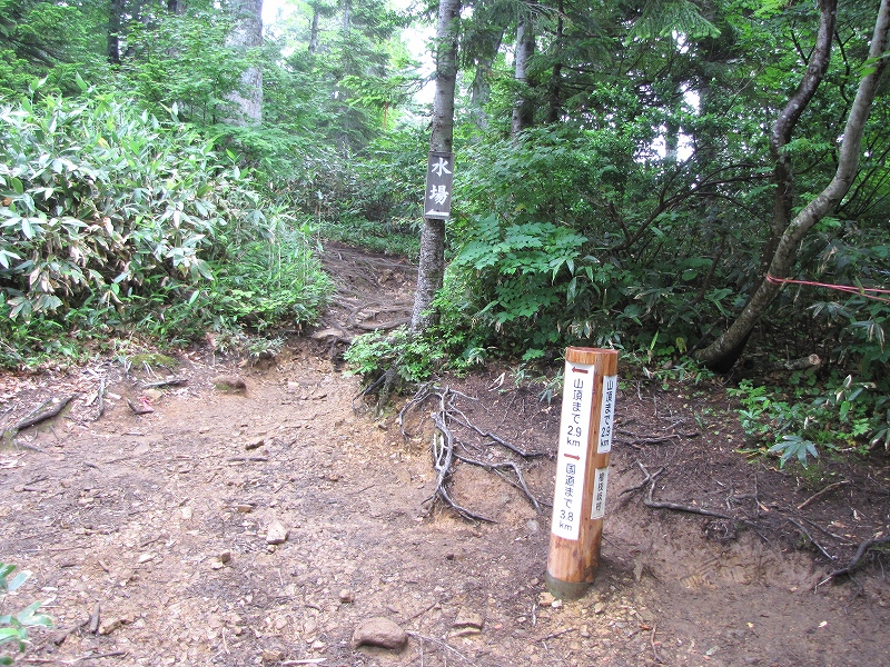 b0097836_17494838.jpg