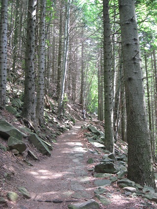 f0234936_105735.jpg