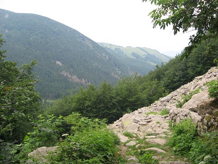 f0234936_114424.jpg