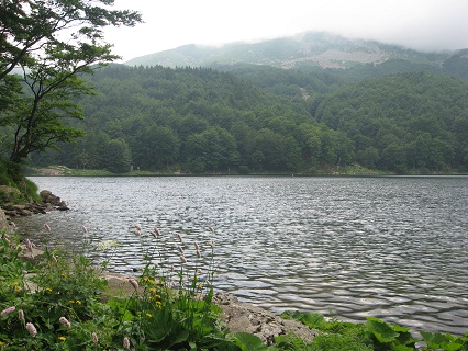 f0234936_12970.jpg