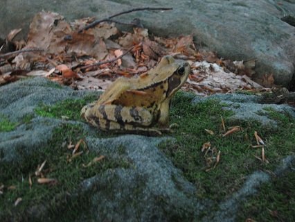 f0234936_153848.jpg