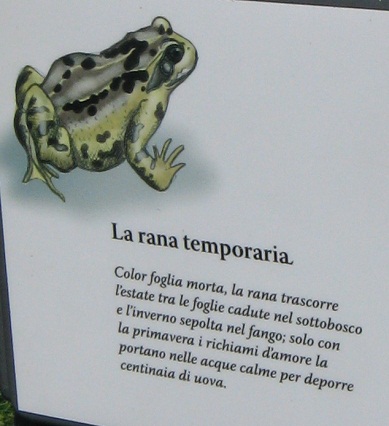 f0234936_162659.jpg