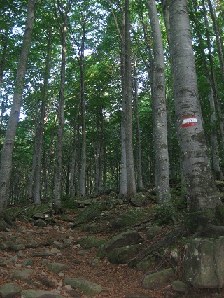 f0234936_185231.jpg
