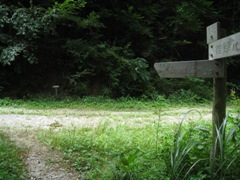 c0077338_21332646.jpg