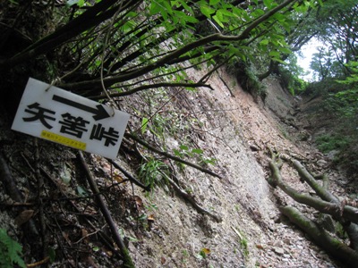 c0077338_21362938.jpg