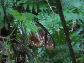 c0077338_21371258.jpg