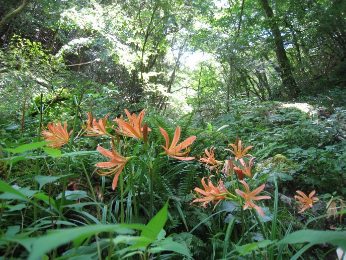 c0077338_2225014.jpg