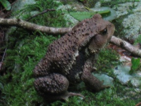 c0077338_2243283.jpg
