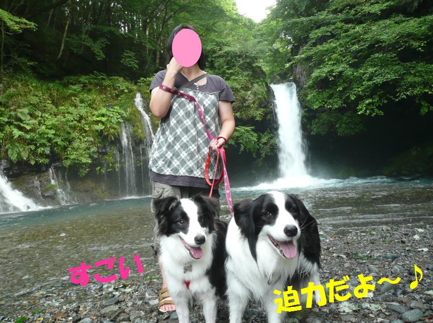 c0147241_170323.jpg