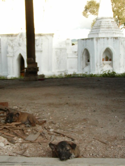 f0055745_9164230.jpg