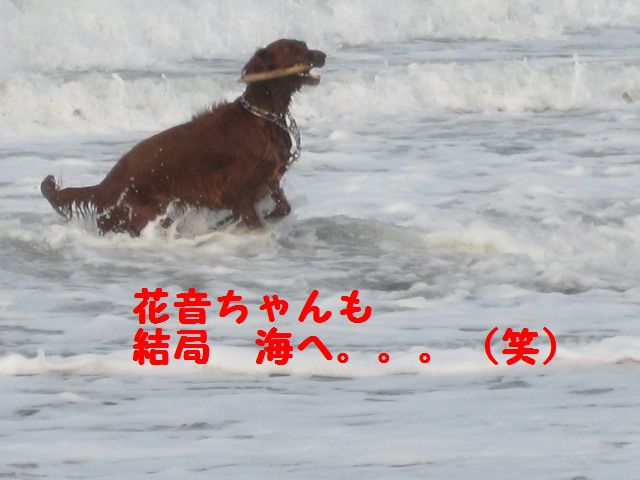a0108146_2184263.jpg