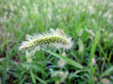 c0147952_10114185.jpg