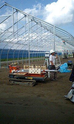 f0122259_20325687.jpg