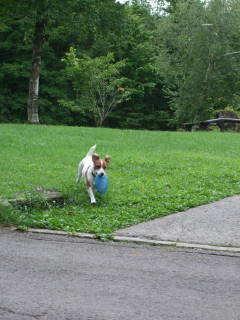 f0223360_1519290.jpg