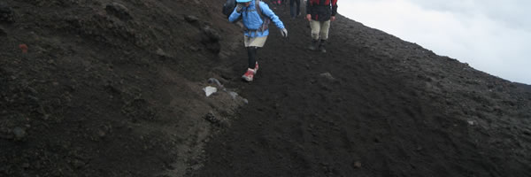 c0062361_1684851.jpg