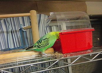 f0196665_0412475.jpg