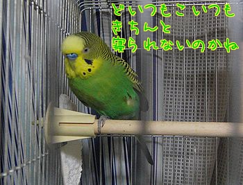 f0196665_2351519.jpg