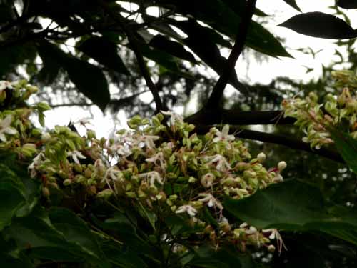 f0086169_13555444.jpg