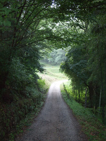 c0122670_2375950.jpg