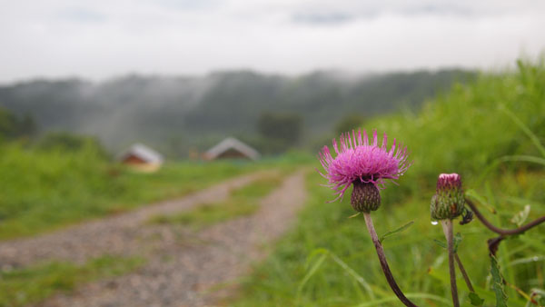 c0122670_2384062.jpg