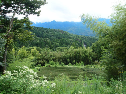 c0122670_734043.jpg
