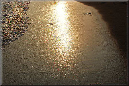 e0099375_17173924.jpg