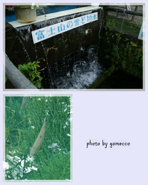 e0196975_18161516.jpg