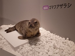f0030875_23285877.jpg