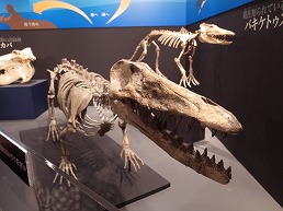 f0030875_23292329.jpg