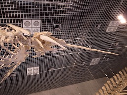 f0030875_2330481.jpg
