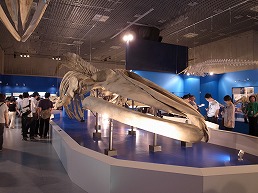 f0030875_23304914.jpg