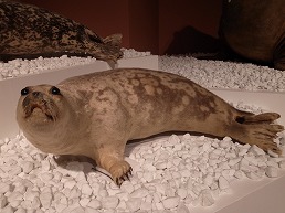 f0030875_23322689.jpg