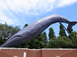 f0030875_23335755.jpg