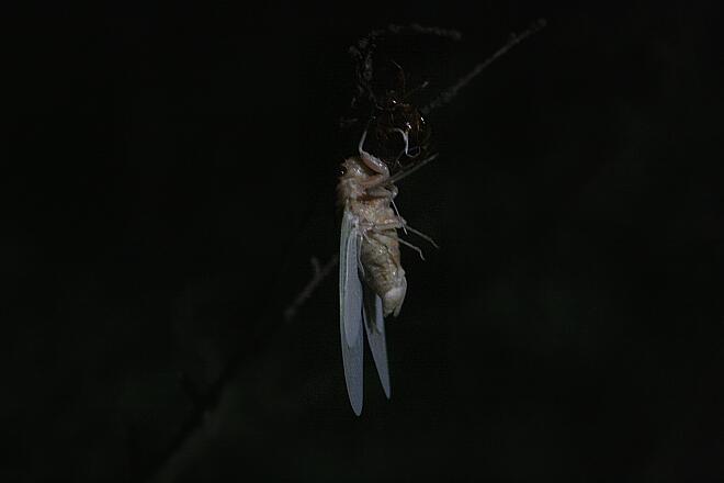 c0073377_20214372.jpg