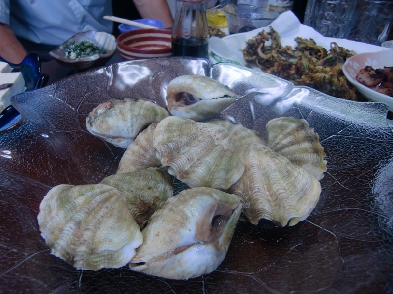 f0238779_752118.jpg