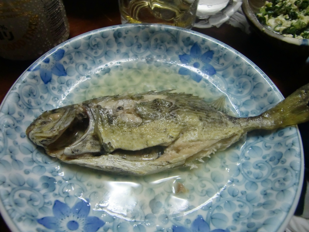 f0238779_754822.jpg