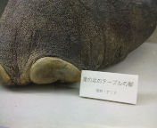 f0237680_15331427.jpg