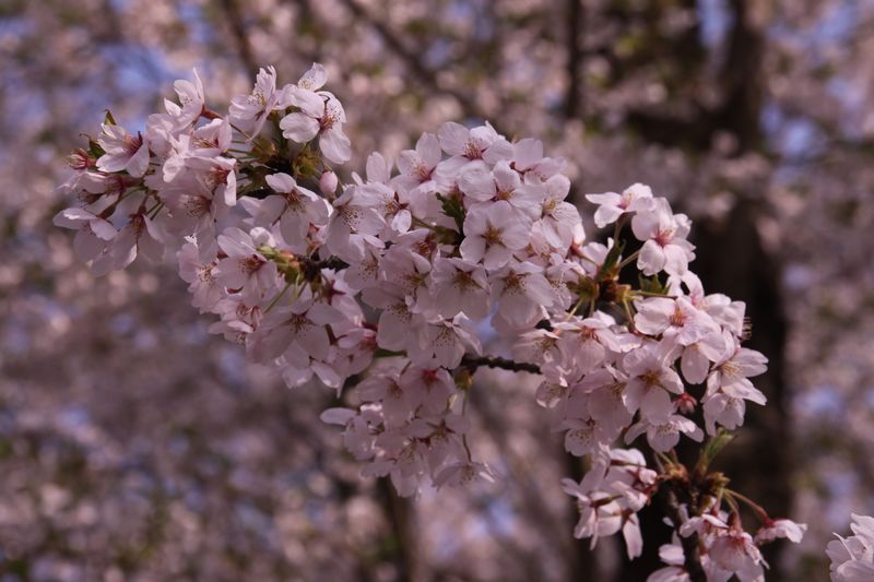 c0148781_2221090.jpg