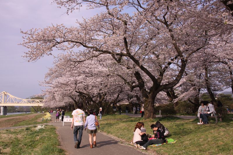 c0148781_22212068.jpg