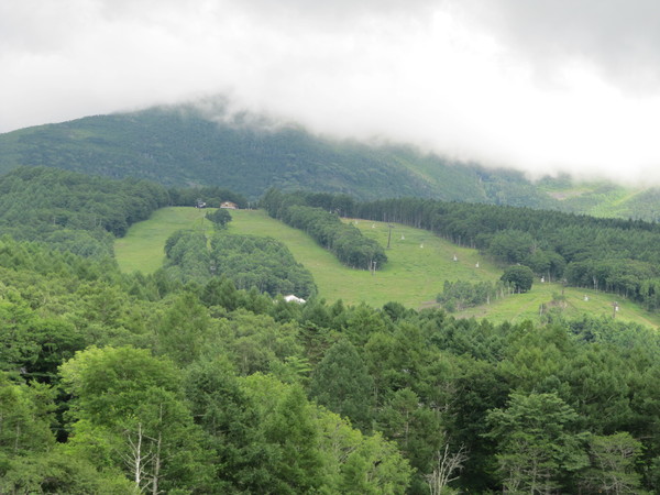 b0136683_13224957.jpg