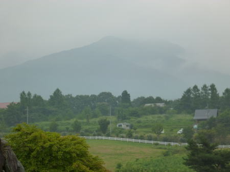 d0179983_12531390.jpg