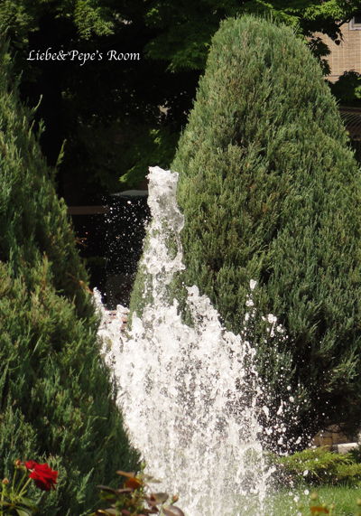 f0001895_9735.jpg