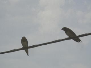 c0187298_22433440.jpg