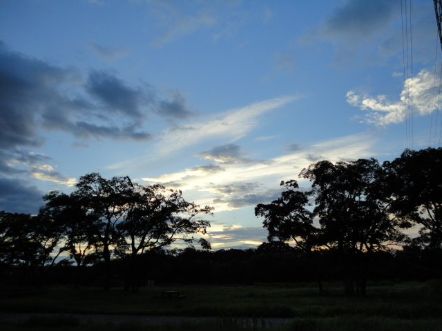 d0164100_11133369.jpg