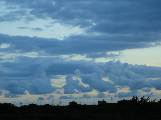 d0164100_11144694.jpg
