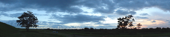 d0164100_1115324.jpg